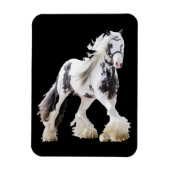 Gypsy Mare Stallion Draft Horse Magneet (Verticaal)