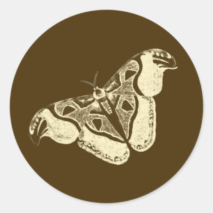 Gypsy mot, chocoladebruin en beige ronde sticker