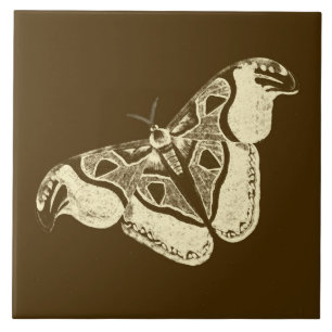 Gypsy mot, chocoladebruin en beige tegeltje