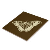 Gypsy mot, chocoladebruin en beige tegeltje (Zijkant)