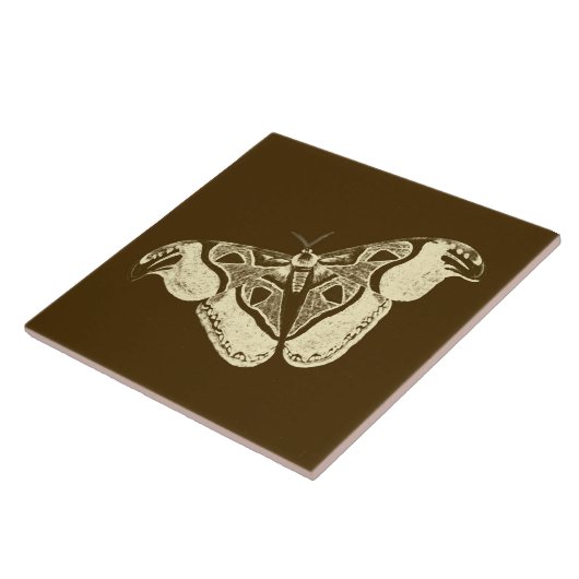 Gypsy mot, chocoladebruin en beige tegeltje (Zijkant)