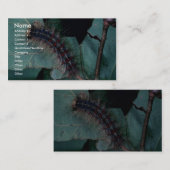 Gypsy moth visitekaartje (Voorkant / Achterkant)