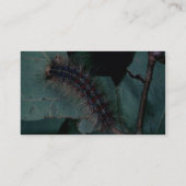 Gypsy moth visitekaartje (Achterkant)