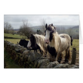 Gypsy ponies-kaart (Voorkant Horizontaal)