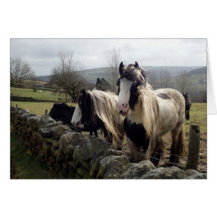 Gypsy ponies-kaart