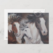 Gypsy run briefkaart (Voorkant / Achterkant)