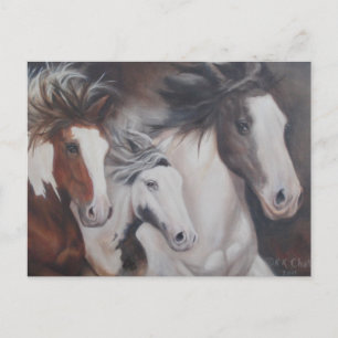 Gypsy run briefkaart