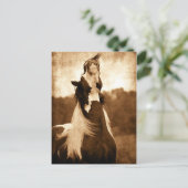 Gypsy Vanner Briefkaart (Staand voorkant)