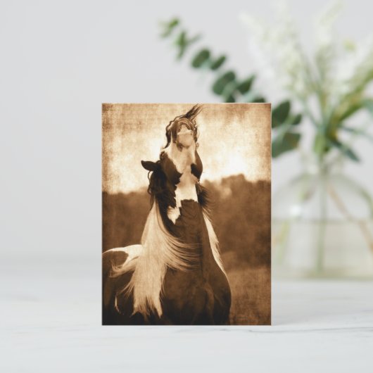 Gypsy Vanner Briefkaart (Staand voorkant)