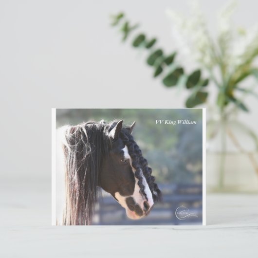 Gypsy Vanner Briefkaart (Staand voorkant)