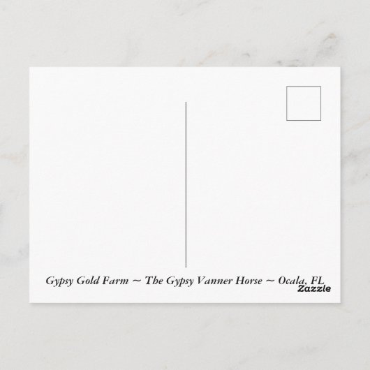 Gypsy Vanner Briefkaart (Achterkant)