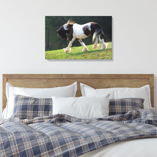 Gypsy Vanner Canvas Afdruk (Insitu (Slaapkamer))