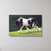 Gypsy Vanner Canvas Afdruk (Voorkant)