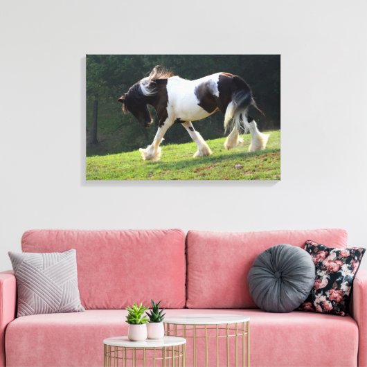 Gypsy Vanner Canvas Afdruk (Insitu (Woonkamer))