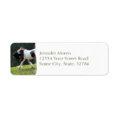 Gypsy Vanner Etiket (Voorkant)