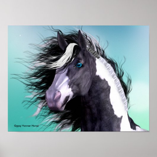 Gypsy Vanner Horse 16 x 12 Poster (Voorkant)