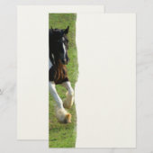 Gypsy Vanner Horse Briefpapier (Voorkant / Achterkant)