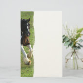 Gypsy Vanner Horse Briefpapier (Staand voorkant)
