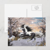 Gypsy Vanner Horse Post Card Briefkaart (Voorkant / Achterkant)