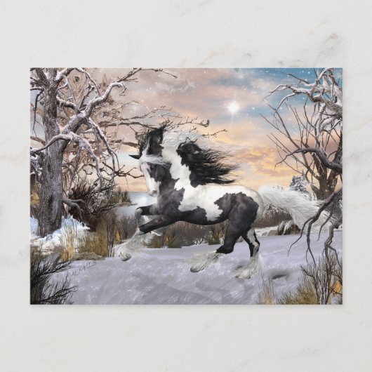 Gypsy Vanner Horse Post Card Briefkaart (Voorkant)