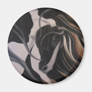 Gypsy Vanner I Magneet