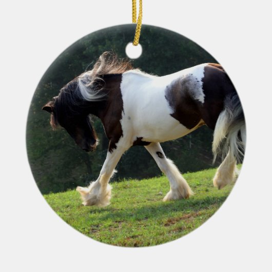 Gypsy Vanner Keramisch Ornament (Voorkant)