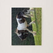 Gypsy Vanner Legpuzzel (Verticaal)