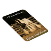 Gypsy Vanner Magnet Magneet (Rechterzijde)