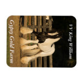 Gypsy Vanner Magnet Magneet (Horizontaal)