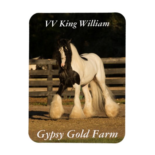 Gypsy Vanner Magnet Magneet (Verticaal)