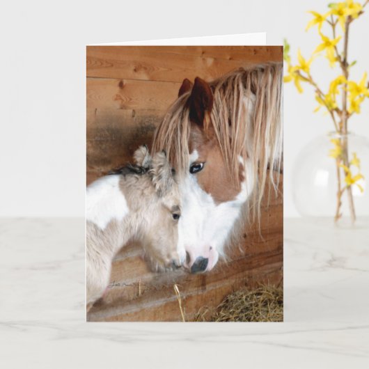 Gypsy Vanner Mare en Foal Moederdag Kaart (Gele Bloem)