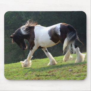Gypsy Vanner Muismat