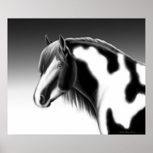Gypsy Vanner Pinto Draft Horse Poster