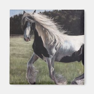 Gypsy vanner pinto horse running in field magneet