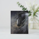 Gypsy Vanner Portret Briefkaart (Staand voorkant)