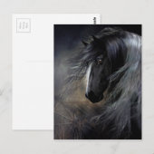 Gypsy Vanner Portret Briefkaart (Voorkant / Achterkant)