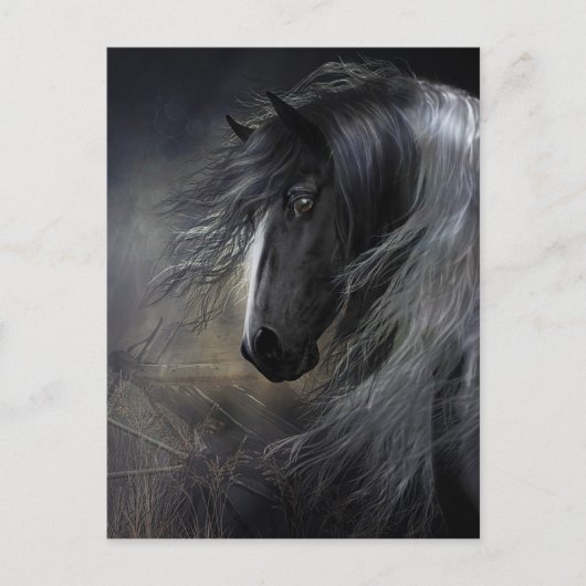 Gypsy Vanner Portret Briefkaart (Voorkant)