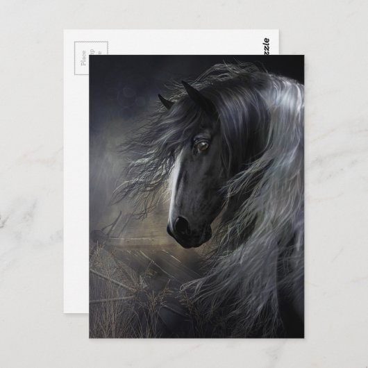 Gypsy Vanner Portret Briefkaart (Voorkant / Achterkant)