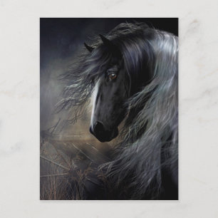 Gypsy Vanner Portret Briefkaart