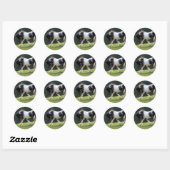Gypsy Vanner Ronde Sticker (Vel)