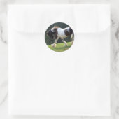 Gypsy Vanner Ronde Sticker (Tas)