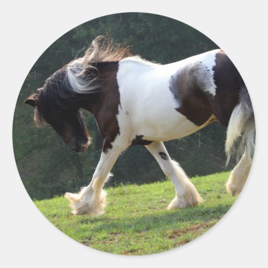 Gypsy Vanner Ronde Sticker (Voorkant)
