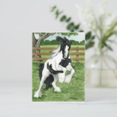 Gypsy Vanner speelt paarse kunst Briefkaart (Staand voorkant)