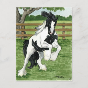 Gypsy Vanner speelt paarse kunst Briefkaart