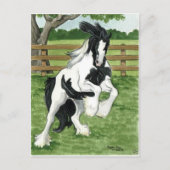 Gypsy Vanner speelt paarse kunst Briefkaart (Voorkant)