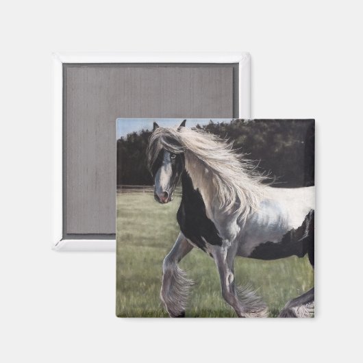 Gypsy vanner springt in het veld magneet (Voorkant / Achterkant)
