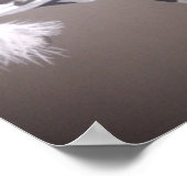 Gypsy vanner stallion (standaard) poster (Hoek)