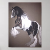 Gypsy vanner stallion (standaard) poster (Voorkant)