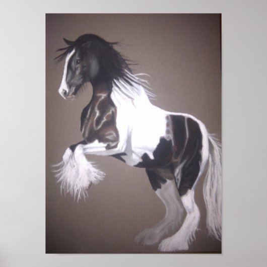 Gypsy vanner stallion (standaard) poster (Voorkant)