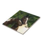 Gypsy Vanner Tegeltje (Zijkant)
